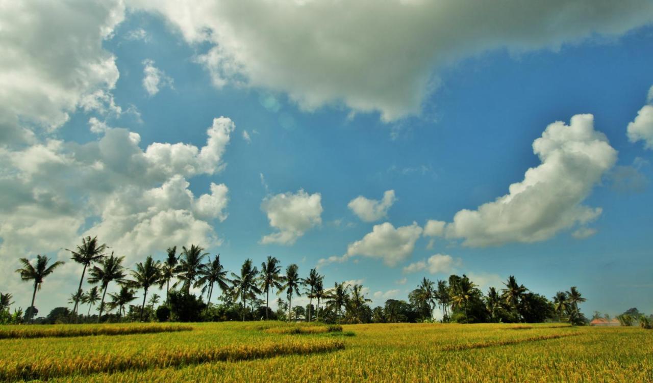 Griya Private Villa Ubud Buitenkant foto